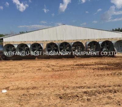 Chicken Poultry Farm Equipment for Sale in Sri Lanka/Nigeria/India/Bangladesh/Qatar