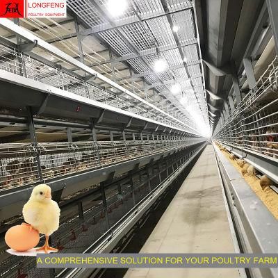 Professional Fans and Cooling Pad Automatic Comprehensive Solution Chicken House with Factory Price