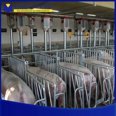 Sow Gestation Stall Farrowing Crate Piglet Nursery Pens for Sale
