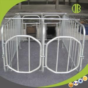 Made in China Pig Equipment and Gestation Stalls for Sow