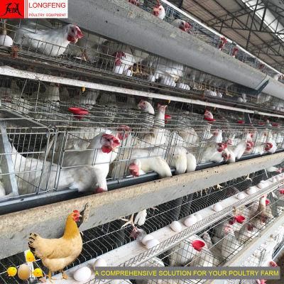 90 Birds, 120birds, 160birds a Type Chicken Layer Battery Egg Laying Cage
