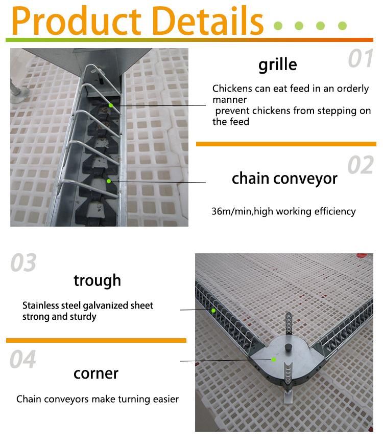 Automatic Chain Feeding Pan Feeder Poultry Equipment for Chicken Breeder