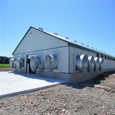 Quickly Installed Long Time Usage Hot-Sale Quality Meat Chicken Farm