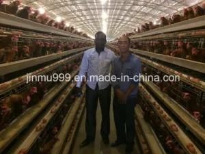 Hot High Quality Layer Chicken Farm Poultry Cages From China