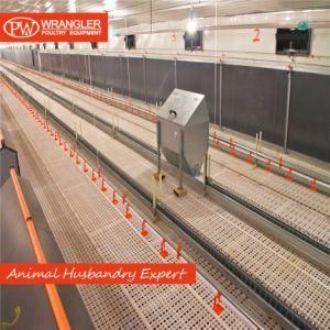 Poultry Equipment for Layer Breeding Hens Automatic Chain Feeding Equipment