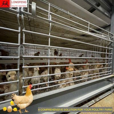 Comprehensive Solution Dosing Medicine and Spray Disinfection Computerized Layer Cage