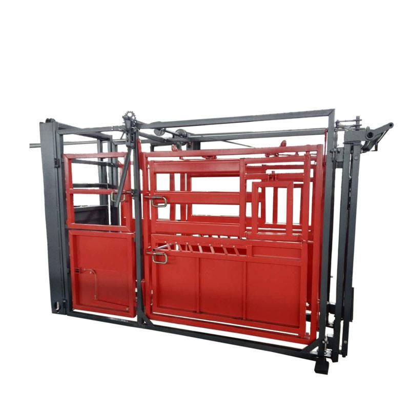 Powder Coated or Galvanized Cattle Chute with Weight Scale