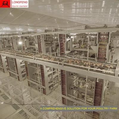 Computerized Local After-Sale Service in Asia Poultry Farm Chicken Layer Battery Cage