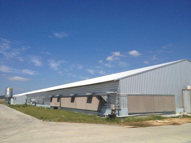 Steel Structure Warehouse