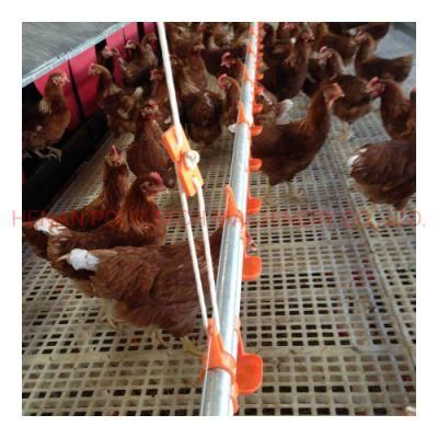 Poultry Farm Automatic Equipment Broiler Chicken Cage Deep Litter System