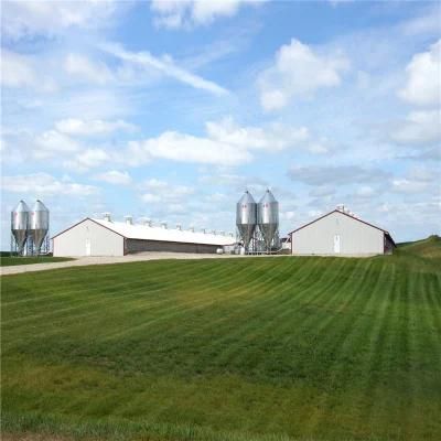 Prefab Easily Built Quality Factory Price Industrial Steel Pig Shed