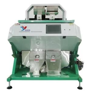 Intelligent Cyperus Beans Color Sorter Oil Bean Colour Sorting Machine From China