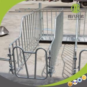 Pig Equipment Hot DIP Galvanized Pig Gestation Stall for Sale