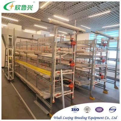 H Type Automatic Broiler Chicken Egg Poultry Growing Pullet Chicks Battery Rearing Cage