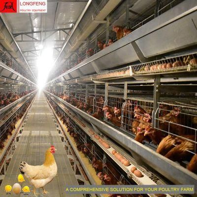 Longfeng Farming China Layer Cages Farm Poultry Equipment with Good Service 9LCD-4128