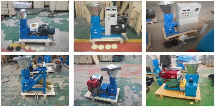 3mm 4mm 5mm 6mm 8mm 10mm Flat Die Feed Pellet Press Machine