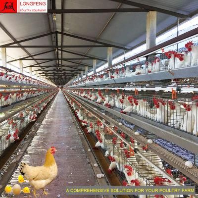 High Quality Poultry Farming Equipment Farm Layer Battery Chicken Egg Laying Cage 9Ltd390/3120/4120/4160