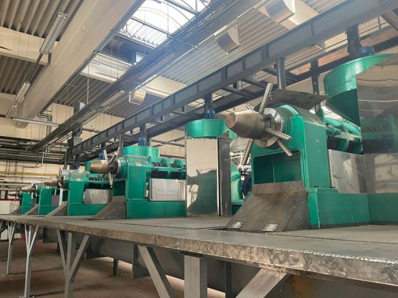 Oil Machine Coconut Sunflower Seeds Oil Machine Cotton Seeds Oil Machine Groundnut Oil Machine