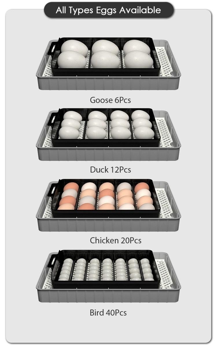 Hhd Ew9-20 Mini Portable Chicken Egg Incubator Shop in Netherlands