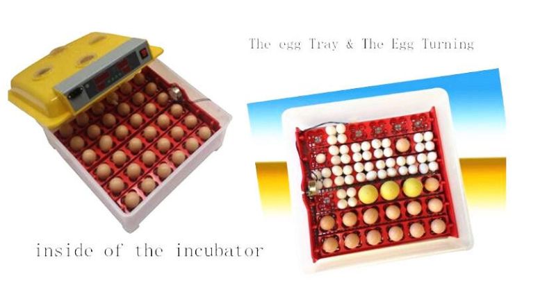 Mini Digital Quail Egg Incubator Hatching Machine (KP-36)