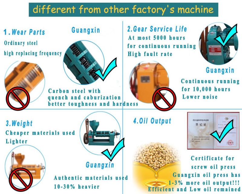 Made in China Recommend Screw Peanut Oil Press Machine