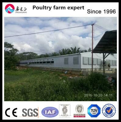 Large Span Animal Feeding Building Light Steel Framing Structure Poultry Farm House Chicken Shed Construction for Sale
