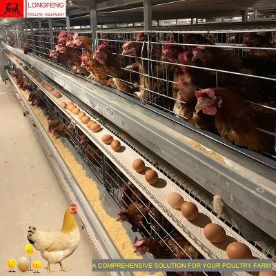 Manufacture China Farming Longfeng Farms Farm Layer Cages Feeding Equipment Poultry Cage 9LCD-4128