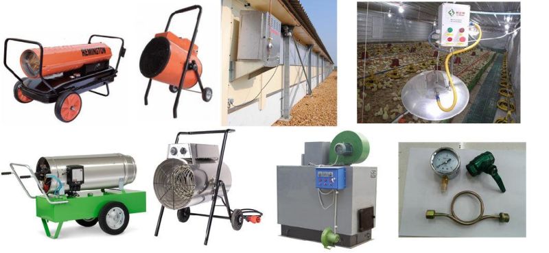 Fully Automatic Complete Chicken Broiler and Layer Farming Poultry Equipment