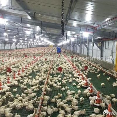 Automatic Chicken House/Coop/Farm Feeding for Broiler