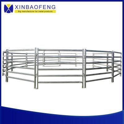 Manufacturer of Heavy-Duty Galvanized Pipe Sheep Pens for Farms