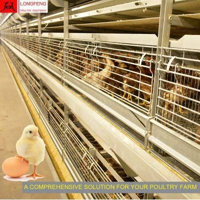 600*620mm Stable Running Longfeng Standard Packing Feeder Pullet Layer Chicken Cage