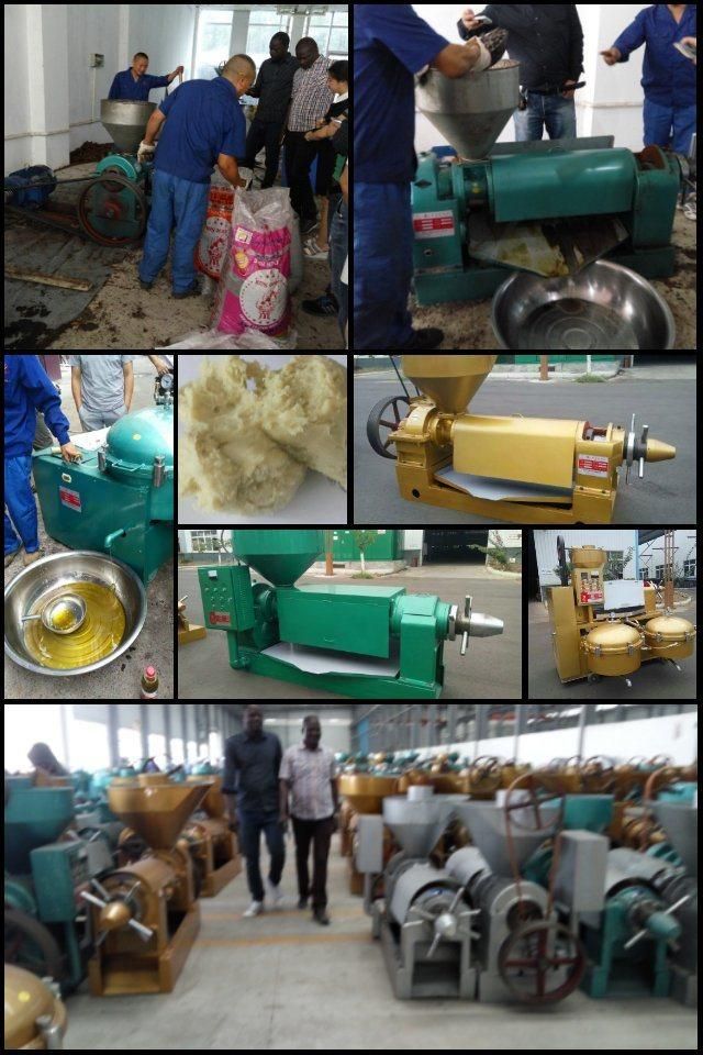 Yzyx120j Factory Supply Sunflower Seed Oil Extractor/Oil Press /Oil Press Machine