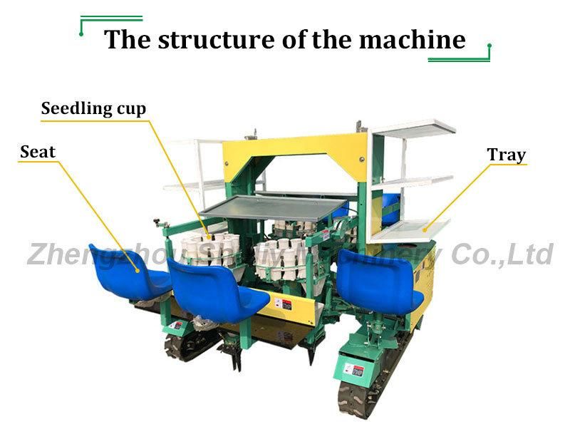 Automatic Green Onion Transplanter Lettuce Transplant Machines Vegetable Transplanter