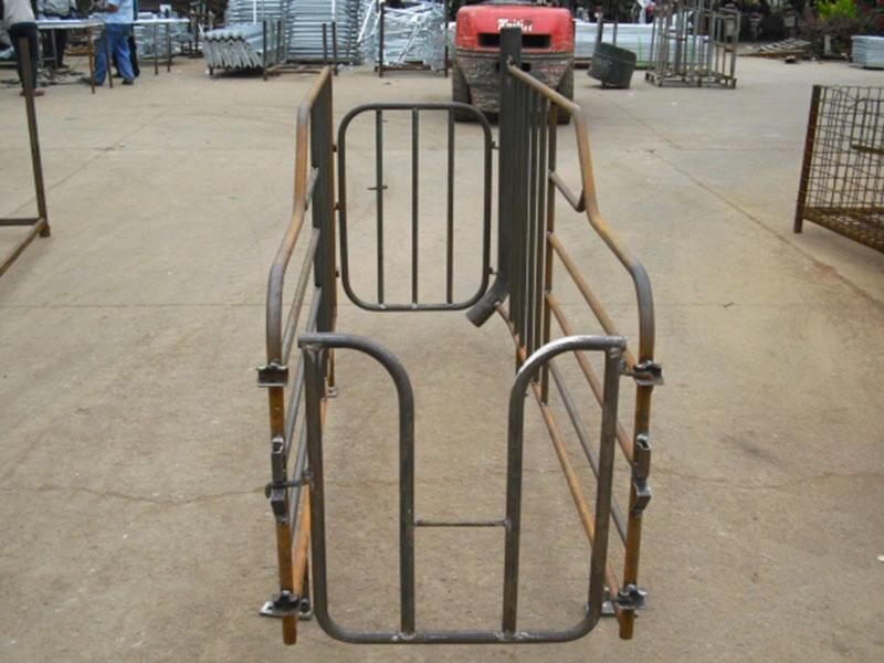 Pig Farming Equipment Durable Gestation Stalls