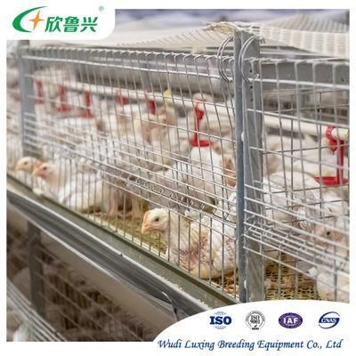 Poultry Farming Equipment Automatic H Type Battery System Broiler Chicken Cages for Sale