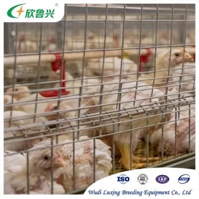 Hot Galvanized Meat Chicken Cage H Type 3/4tiers Automatic Poultry Cage/ Battery Chicken Cage for Broilers