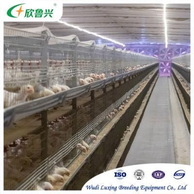 Automatic Layer and Broiler 3 Tiers 4 Tiers H Type Battery Poultry Chicken Cage