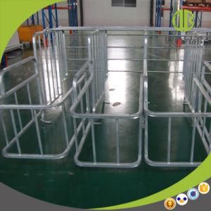 Farm Equipment New Design Livestock Pig Gestation Stall