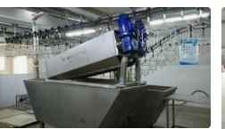 Slaugter Machine for Chicken