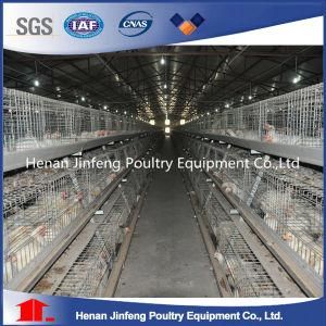 Hot/Cold Galvanization Chicken Egg Poultry Farm Equipment