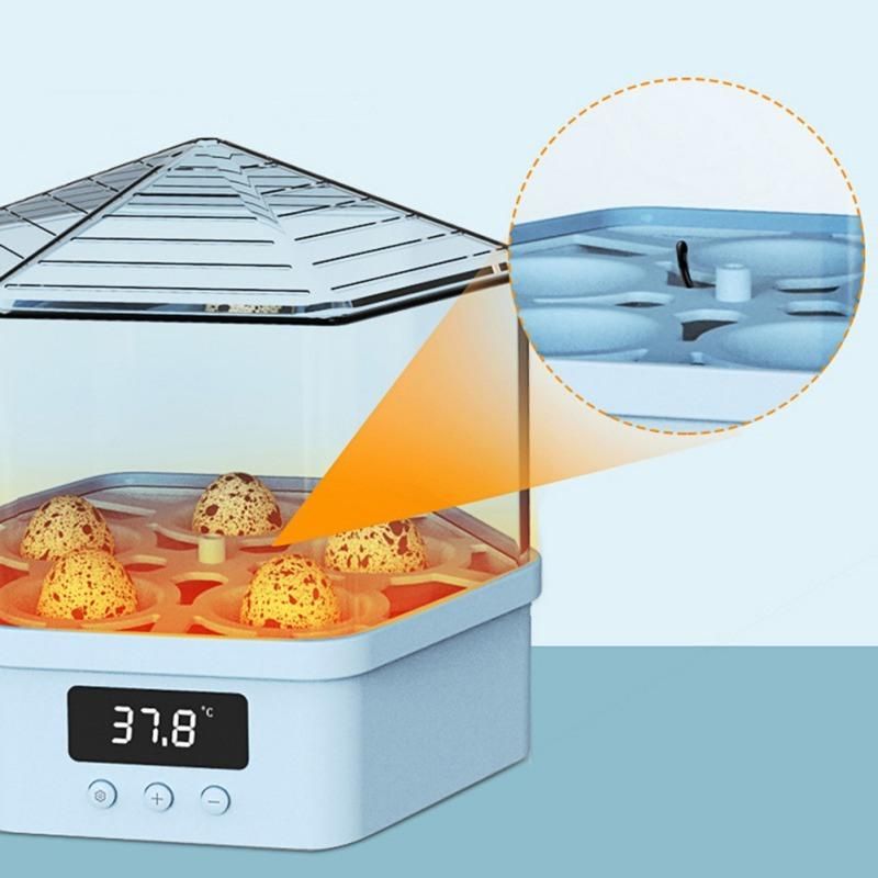 5PCS Incubator Egg Automatic Brooding Machine Chick Home Farm Egg Incubators