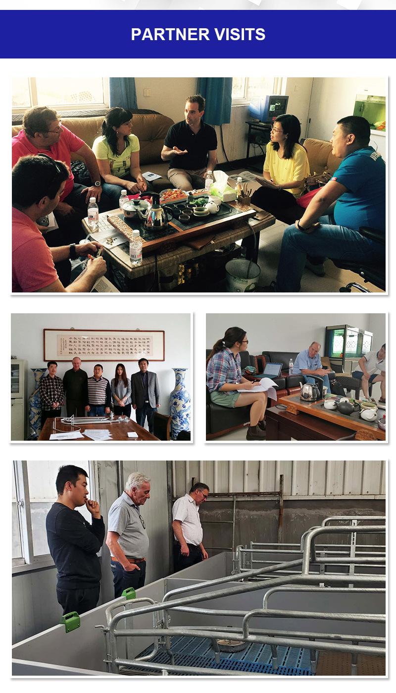 Manufacturer of High-Quality Pig Breeding Equipment Farrowing Pens for Farrowing Sows