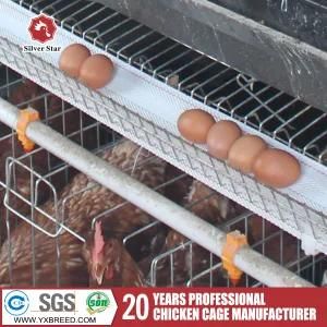 Farming Poultry Farm Layer Cages 4L120 Poultry Cage
