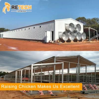 Professional Egg Chicken House Design for Large Poultry Farms