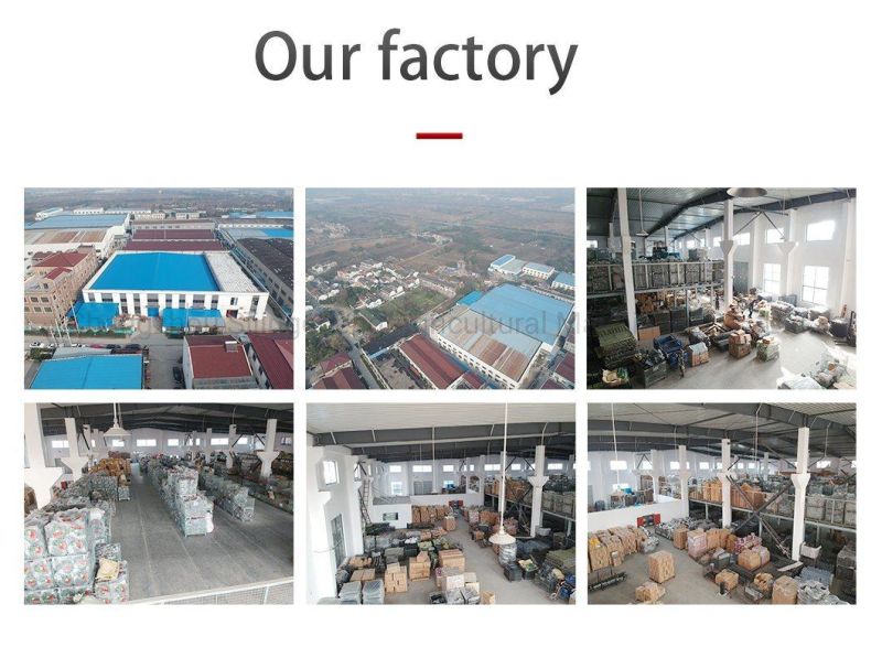 China Factory Supply Combine Harvester Spare Parts Driven Bevel Gear W2.5-02s-01-17-07