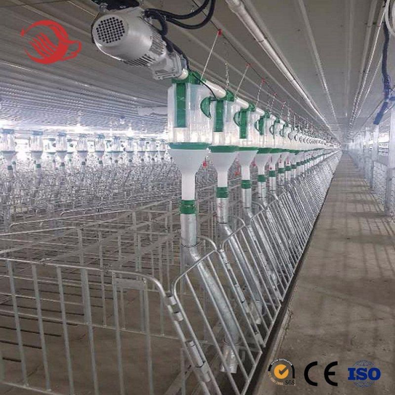 Whole Sale Hot Dipped Galvanizing Steel Pig Gestation Crate