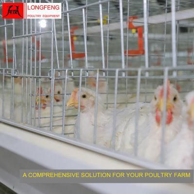Local After-Sale Service in Asia Automatic Cage Farming Chicken House Equipment