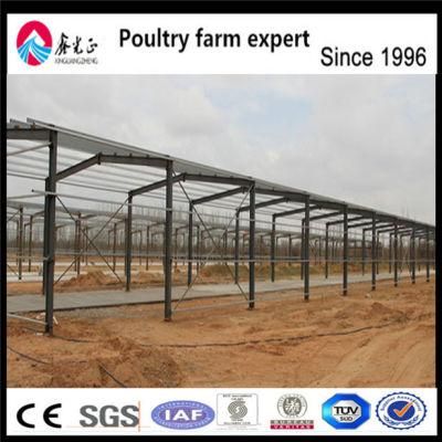 Prefab Steel Structure Shed and Poultry Shed Cow and Chicken House