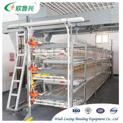 Best Price Poultry Farming Equipment Battery Chicken Layer Cage for Sale