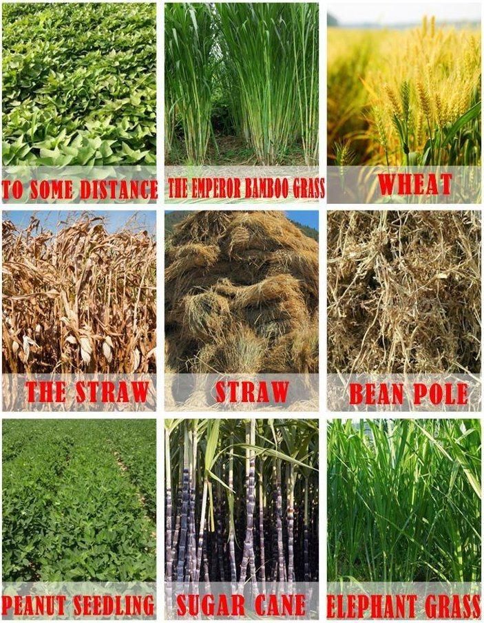 Movable Wheat Corn Cotton Stalk Silage Crop Hay Straw Grass Chaff Cutting Machine for Chopping Crushing Shredding Animal Poultry Feed Green Fodder Forage